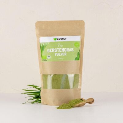 HIERBA DE CEBADA ORGÁNICA - 250 g de hierba de cebada en polvo