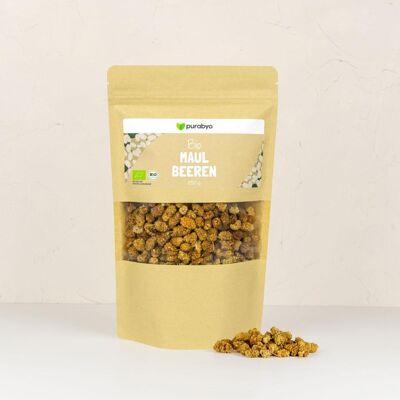 GELSI BIO - 250 g frutti di bosco secchi