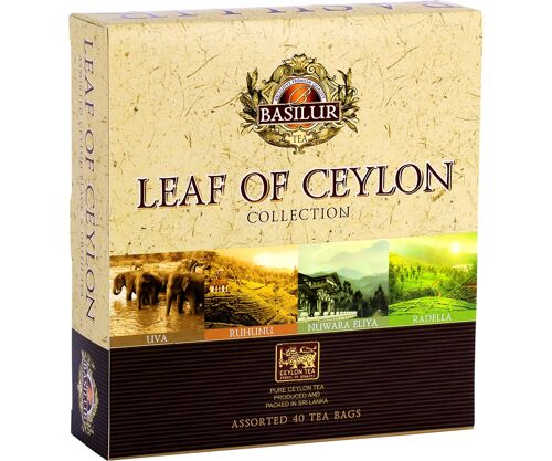 Coffret Leaf of Ceylon 40 sachets