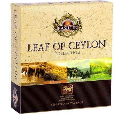 Coffret Leaf of Ceylon 40 sachets