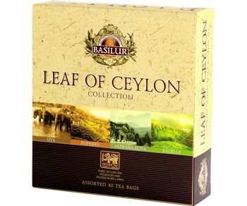 Coffret Leaf of Ceylon 40 sachets 3