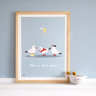 Framed illustration - Seagulls