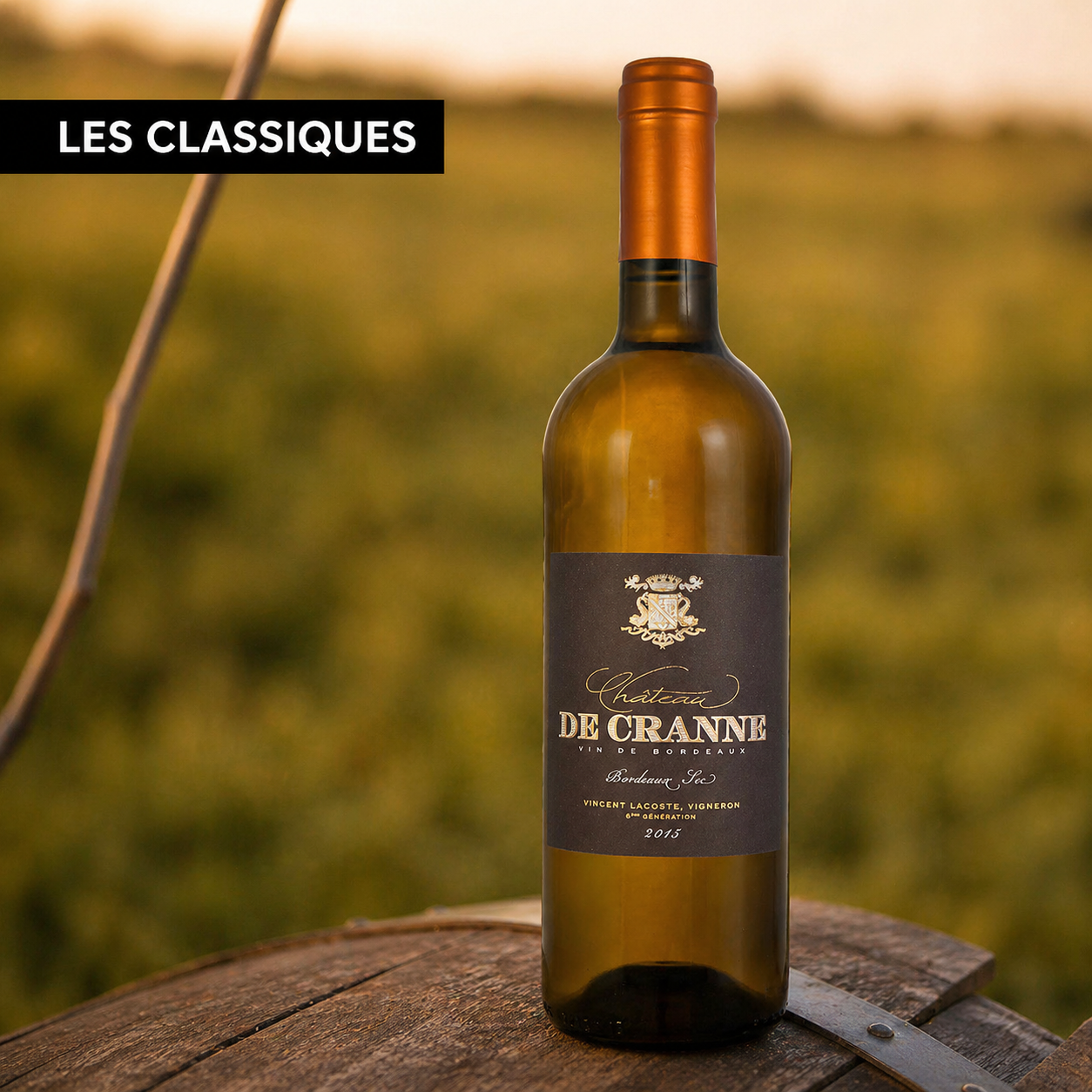 Organic dry white wine Bordeaux 2025 "Château de Cranne"