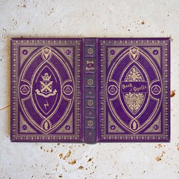 Livre de sorts sur le thème de Harry Potter / Couverture universelle pour tous les Kindle et liseuses 2