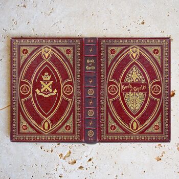 Harry Potter Gryffondor Thème / Couverture universelle pour tous les Kindle et liseuses 2