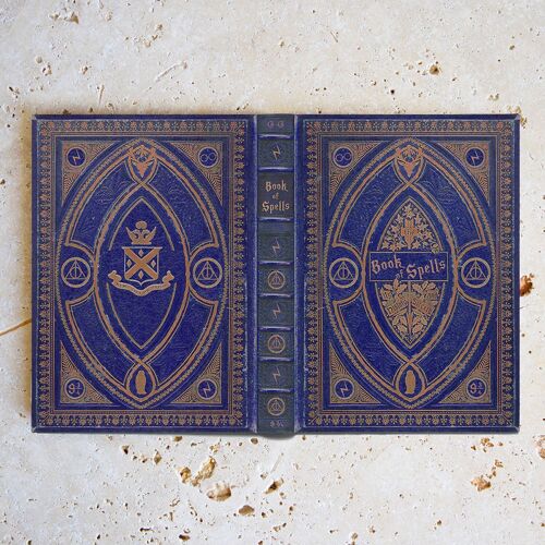Harry Potter Ravenclaw Themed / Universal Fit Cover for all Kindle & eReaders