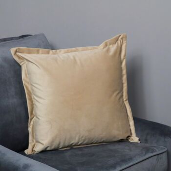 Housse de coussin en velours beige 1