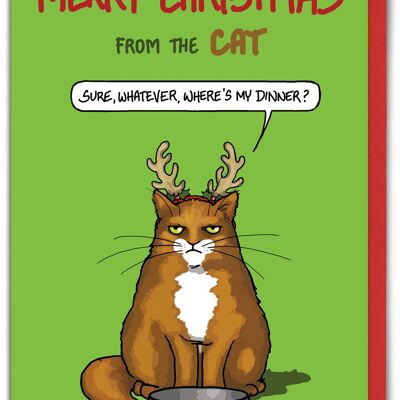 Merry Christmas Card From The Cat - Sure Whatever
