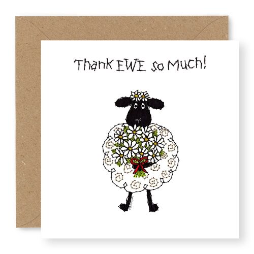 EWE Daisies - Thank EWE