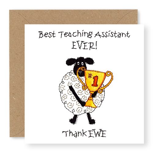 EWE No.1 Cup Teaching Assistant