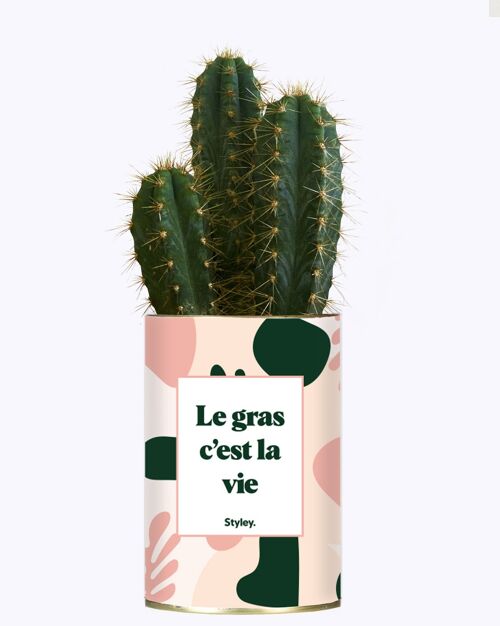 Cactus -  Le gras c'est la vie