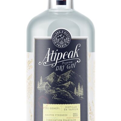 Flasche Gin - Atipeak