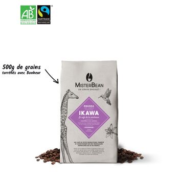 IKAWA - Café en grain bio et équitable suave et exotique - 500gr 1