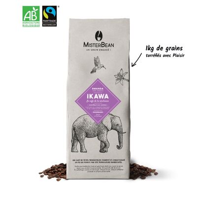 IKAWA - Caffè in grani dolce ed esotico biologico ed equosolidale - 1kg