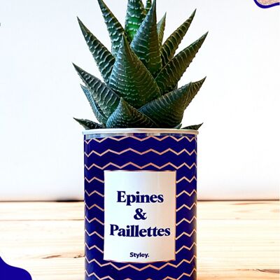 Cactus - Epines & Paillettes