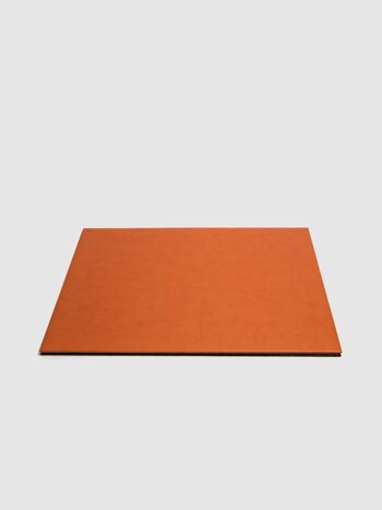 Vade avec dossier en orange 51 x 35 cm 1