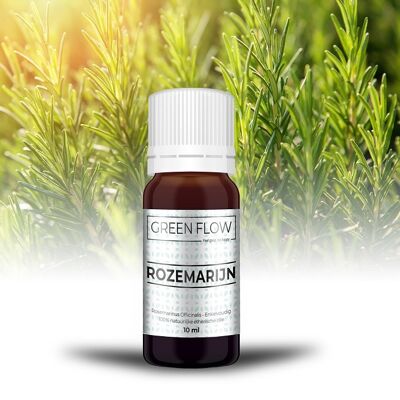 Rozemarijn - 10 ml - 100% Natuurzuivere Etherische Olie