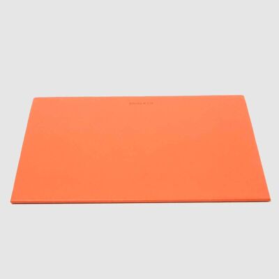 Vade with folder in orange