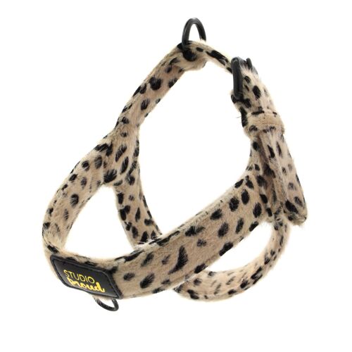 Harness Cheetah M