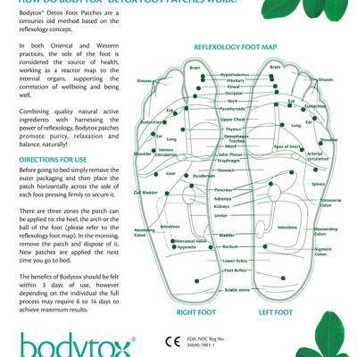 Bodytox Detox Foot Patch - Boîte de 14