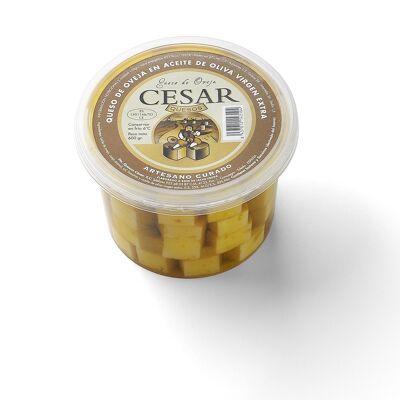 Ausgehärtete Käse in extra jungfräulichem Olivenöl