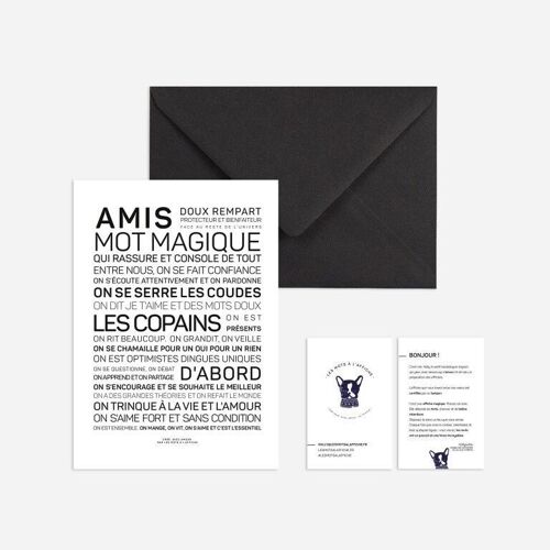 Affiche format mini Amis