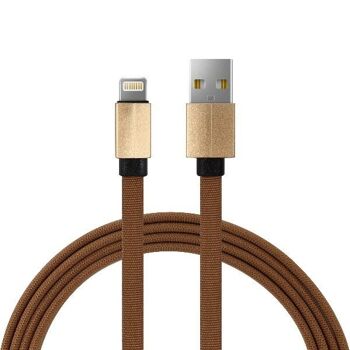 Câble 1m 2A iPhone vers USB en nylon tressé 1