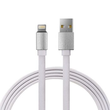 Câble 1m 2A iPhone vers USB en nylon tressé 5