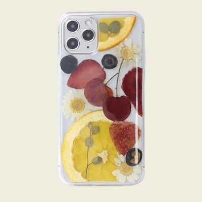 Amy Dried Fruit Phone Case