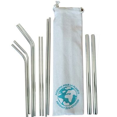 Set of 10 stainless steel straws, natural case