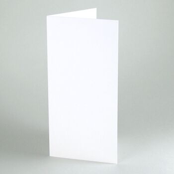 Compra 100 cartoncini pieghevoli bianchi DIN lunghi (scatola di cartone 246  g/mq) all'ingrosso