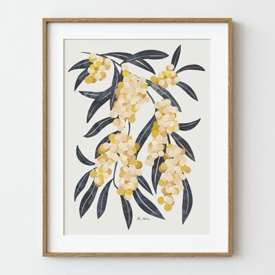 Acacia Branch Art Print - 21cm (w) x 30cm (h)