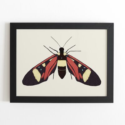 Schmetterlings-Kunstdruck - 21cm (B) x 30cm (H)