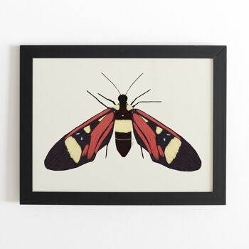 Impression d'art papillon - 21 cm (l) x 30 cm (h) 1
