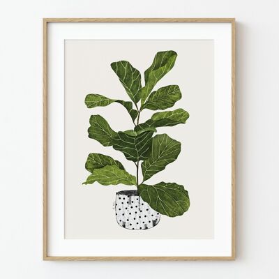 Ficus Lyrata Kunstdruck - 21cm (B) x 30cm (H)