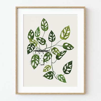 Impression d'art Monstera Obliqua - 30 cm (l) x 40 cm (h)