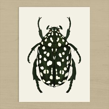 Impression d'art de scarabée vert - 30 cm (l) x 40 cm (h) 2