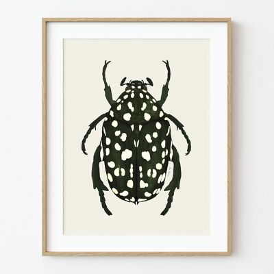 Stampa artistica dello scarabeo verde - 30 cm (larghezza) x 40 cm (altezza)