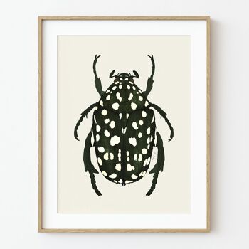 Impression d'art de scarabée vert - 30 cm (l) x 40 cm (h) 1