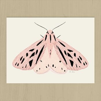 Impression d'art papillon rose - 30 cm (l) x 40 cm (h) 2