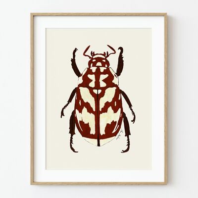 Stampa artistica scarabeo rosso - 30 cm (larghezza) x 40 cm (altezza)