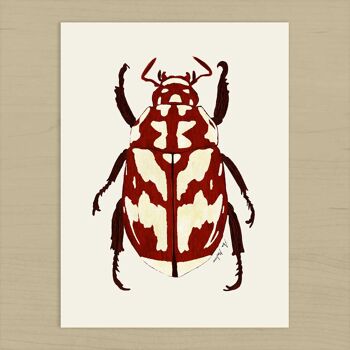 Impression d'art de scarabée rouge - 21 cm (l) x 30 cm (h) 2