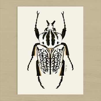 Impression d'art de scarabée blanc - 30 cm (l) x 40 cm (h) 2