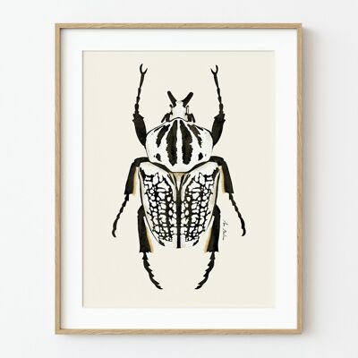 Stampa artistica dello scarabeo bianco - 30 cm (larghezza) x 40 cm (altezza)