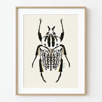 Impression d'art de scarabée blanc - 30 cm (l) x 40 cm (h) 1