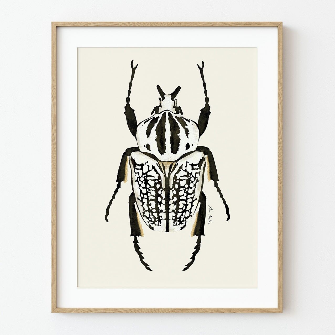 Stampa artistica "Scarabeo bianco"