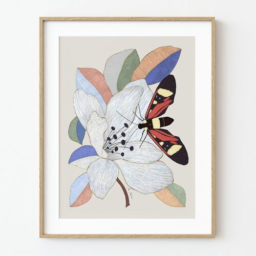Lámina Artística Flor de Magnolia - 30cm (w) x 40cm (h)