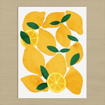 Tirage d'art de citrons méditerranéens - 21 cm (l) x 30 cm (h) 2