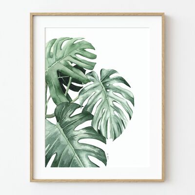 Stampa artistica foglie di Monstera - 30 cm (larghezza) x 40 cm (altezza)