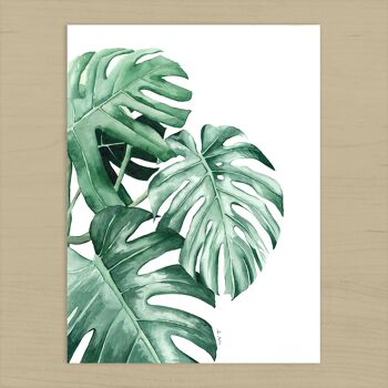 Impression d'art de feuilles de Monstera - 21 cm (l) x 30 cm (h) 2